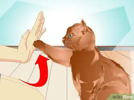 Image titled Teach a Cat to "High Five" Step 28